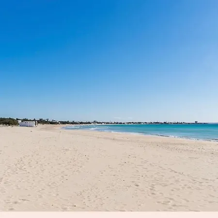 Viva * Porto Cesareo